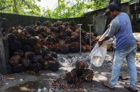 Lapor Pak Jokowi! Tangki CPO di Riau Hanya Bertahan…