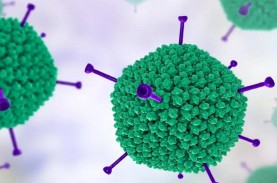 Hepatitis Akut Mewabah, 4 Cara Adenovirus Masuk ke…