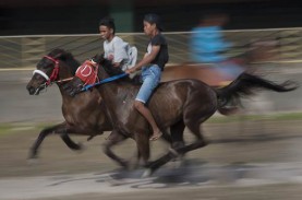 Pacuan Kuda di Pasuruan 21-22 Mei Tak Diizinkan Polisi