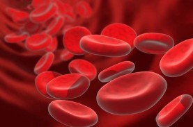 Kekurangan Sel Darah Merah: Kenali Gejala, Penyebab,…
