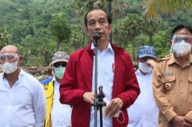 Jokowi Bakal ke Bajawa NTT, Anjing Peliharaan Wajib…