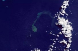 Mengenal Sharkcano, Letusan Gunung Berapi yang Ganggu Habitat Hiu