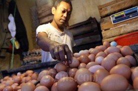 Kenaikan Harga Telur Ayam di Palembang Diprediksi…
