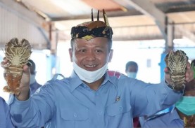 PT ACK, Perusahaan Terafiliasi Edhy Prabowo Terbukti…