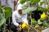 Kadin Jatim Tawarkan Investasi Bidang Pertanian kepada Thailand