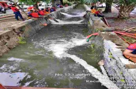 Surabaya Mengerahkan Belasan Unit Mobil Damkar Sedot…