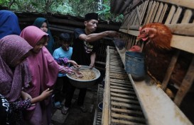 Ekonom Ingatkan Manajemen Stok untuk Jaga Stabilitas Pangan di Jateng