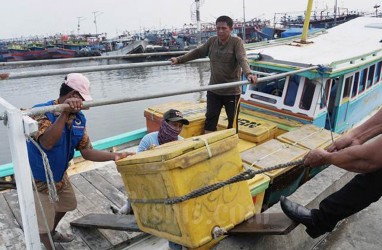 Pedagang Muara Angke Berbagi Tips Beli Ikan Berkualitas