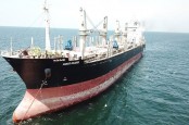 Habco Trans Maritima (HATM) Incar Dana IPO Rp305 Miliar, Calon Emiten Pelayaran Baru