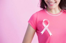 Ladies, Ini Diet Untuk Tekan Risiko Kanker Payudara