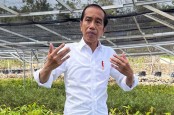 Rantai Pasok Pangan Tak Stabil, Jokowi: Alhamdullilah Harga Beras Tidak Naik