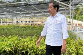 Jokowi Ungkap Peran Kemandirian Pangan terhadap Penurunan…