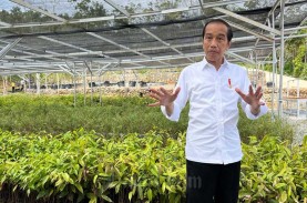 Jokowi Sentil Mendag: Fokus Turunkan Harga Minyak…