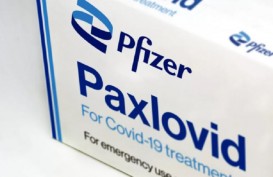 BPOM Terbitkan Izin Penggunaan Darurat Paxlovid untuk Obat Covid-19