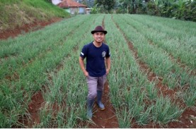 Agribisnis Punya Peluang Menjanjikan Bagi Investor…