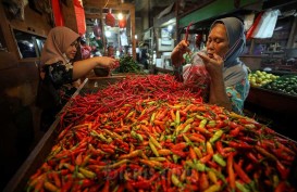 Cabai dan Bawang Merah Jadi Penyebab Inflasi di Yogyakarta Lampaui Nasional
