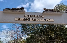 Tarif Masuk Taman Nasional Komodo Tetap Rp5.000, Ini Syaratnya