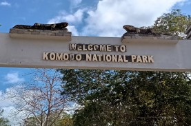 Tarif Masuk Taman Nasional Komodo Tetap Rp5.000, Ini…