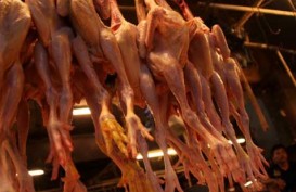 Harga Pangan Hari Ini, 4 Agustus: Harga Daging dan Telur Ayam Turun