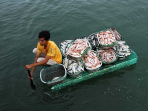 Harga Ikan di Sulawesi Selatan Alami Kenaikan