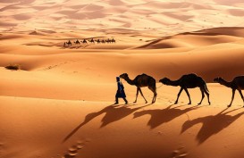 Viral di TikTok! Simak 12 Fakta Gurun Sahara, Ada Fosil Dinosaurus