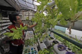 BI Jabar Yakin Urban Farming Bisa Jadi Salah Satu Solusi Tekan Inflasi