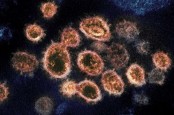 Fakta-fakta Virus Langya, yang Baru Ditemukan di China