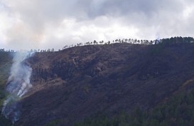Titik Panas di Sumut Meningkat 942 Persen, Kebakaran Hutan Terluas Melanda Samosir