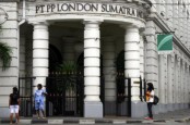 Penyebab Penjualan CPO London Sumatra LSIP Turun Semester I, Laba Masih Naik