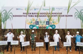 Pupuk Indonesia: Program Makmur Tingkatkan Produktivitas…