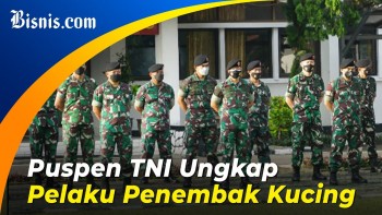 TNI Akan Proses Hukum Jendral Bintang Satu Penembak Kucing