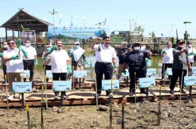 Luhut Resmikan Rehabilitasi 31 Ha Kawasan Mangrove…