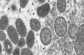 Menkes Budi Tegaskan Karakter Virus Cacar Monyet Tidak Seganas Covid-19