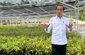 Percepatan Transformasi Digital, Ini Kata Presiden Jokowi