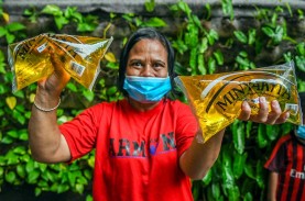 Harga Minyak Goreng di Papua Mulai Turun, Kemendag…