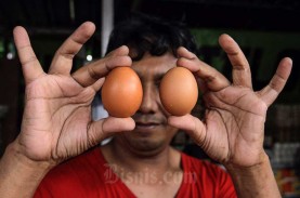 Harga Pangan 30 Agustus: Telur, Cabai Merah, dan Daging…