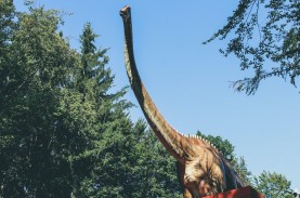 Simak 6 Nama-Nama Dinosaurus yang Mungkin Kamu Belum…
