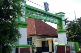 RPH Surabaya Minta Penyertaan Modal Rp2 Miliar, Legislator…