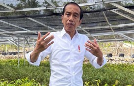 Harga BBM Naik, Presiden Jokowi Minta Pemda Aktif Kendalikan Inflasi