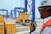 Jelajah Pelabuhan 2022: Ini Kata Pengamat Hasil Merger Pelindo