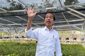 Jokowi Teken Perpres Tarif EBT, Tak Berikan Feed in…