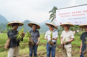 Sederet Jurus Yayasan Astra Tingkatkan Gairah Petani…