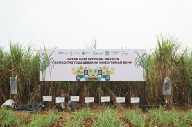 Jelajah BUMN 2022: Program Makmur Pupuk Indonesia…