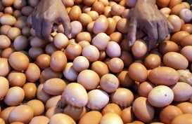 Harga Telur Ayam di Cianjur Turun Menjadi Rp27.000 per Kg