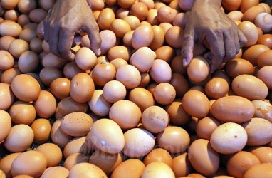 Harga Telur Ayam di Cianjur Turun Menjadi Rp27.000 per Kg