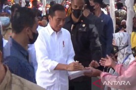 Presiden Jokowi Menyalurkan BSU dan BLT di Baubau