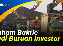 Investor Kakap Rajin Borong Saham BUMI yang Lagi Anjlok