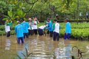 CSR Pertamina Dorong Pembelajaran Mangrove dan Jadi Lokasi Adiwiyata Se-Cilacap