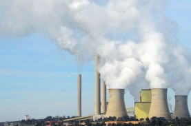 Bursa Karbon dan Peluangnya Biayai Ongkos Transisi…