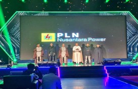 PJB Berganti Nama Menjadi PLN Nusantara Power, Ini Targetnya